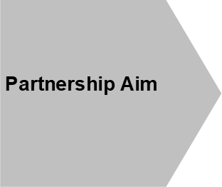 Partnership Aim shape