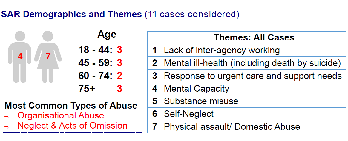 image of SAR Demographics and Themes (11 cases considered) 